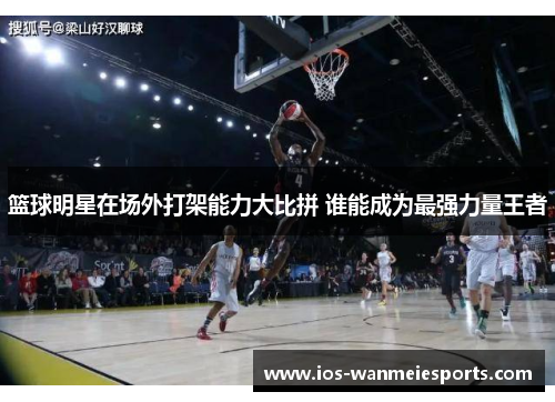 篮球明星在场外打架能力大比拼 谁能成为最强力量王者
