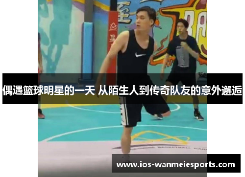 偶遇篮球明星的一天 从陌生人到传奇队友的意外邂逅